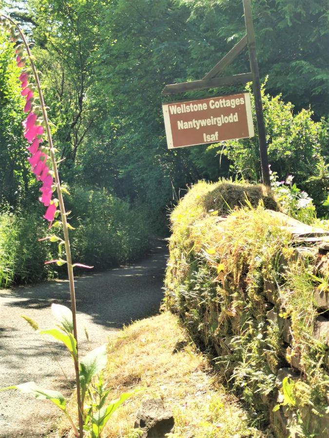 Wellstone Cottages - Jasmine Llanfyrnach Exteriör bild
