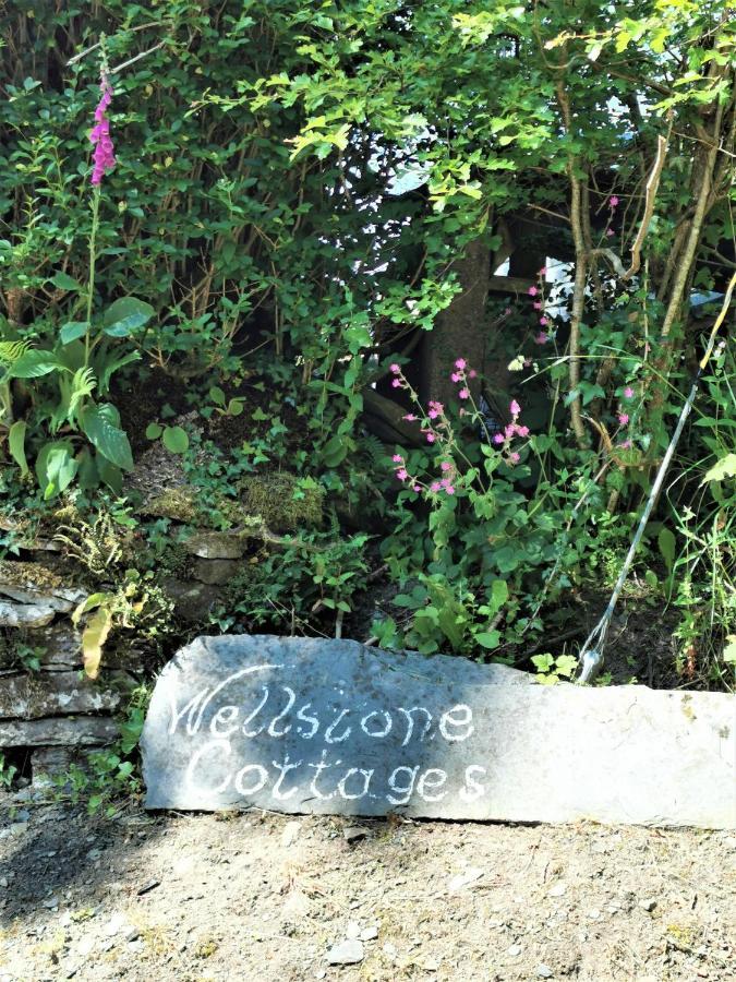 Wellstone Cottages - Jasmine Llanfyrnach Exteriör bild